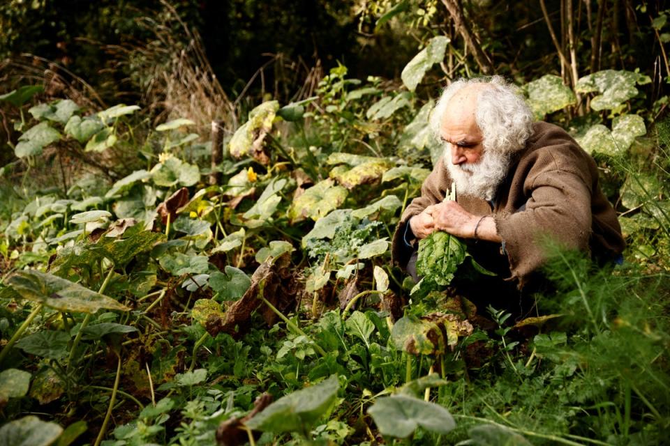 Working in the vegetable garden outside his house (Reuters)