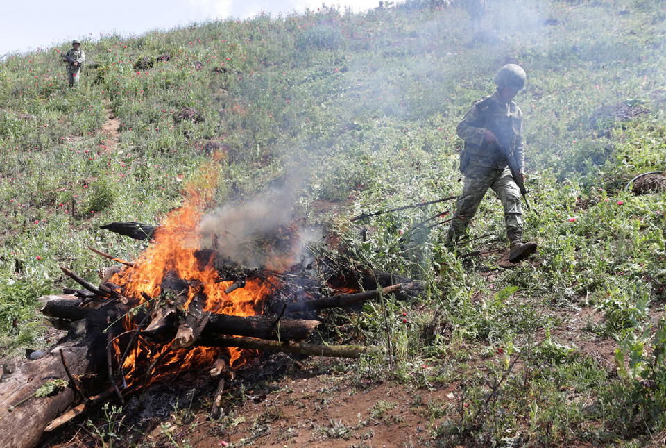 <p>Soldiers burn poppy plants during a military operation in the municipality of Coyuca de Catatlan in Mexico, April 18, 2017. (Photo: Henry Romero/Reuters) </p>