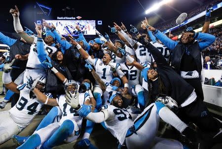 Panthers pulverize Cardinals, to meet Broncos in Super Bowl