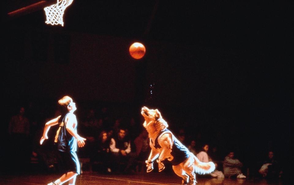 ‘Air Bud’