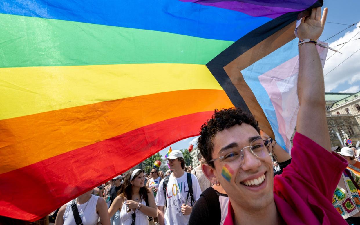 Progress Pride flag at June's Vienna festival