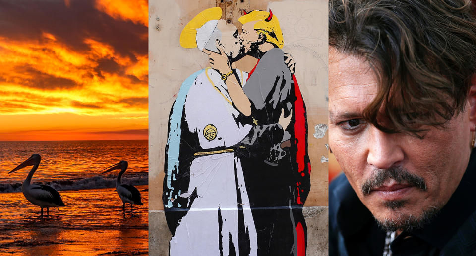 Pope and Trump kissing, pelicans, Depp & more — it happened today: May 11 in pictures