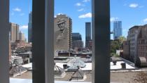 Montreal Museum of Fine Arts buzzing with activity as bees take up residence on roof