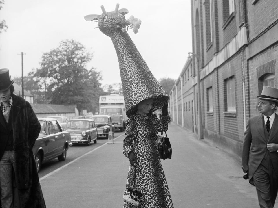 Giraffe hat Ascot