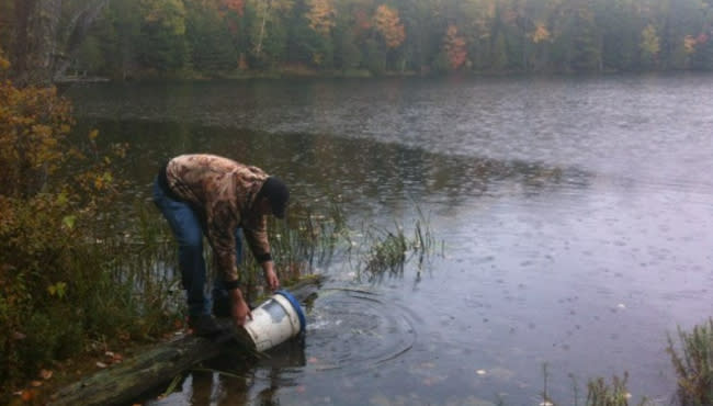 <em>A Michigan DNR fisheries technician stocks fall fingerling brook trout in Rock Lake, Alger County.</em> (Courtesy Michigan DNR)