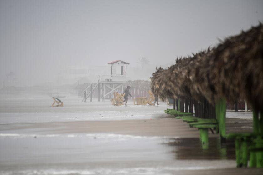 Beach furniture strewn along the shore of Miramar beach is recovered, after Tropical Storm made landfall in the southwestern Gulf of Mexico, Thursday, June 20, 2024. Tropical Storm Alberto, the season's first named storm, weakened Thursday as it moved inland over Mexico after bringing heavy rains to parts of the region. (AP Photo/Fabian Melendez)