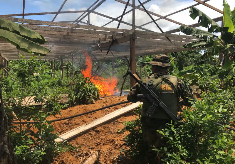 Peruvian anti-narcotics police officer watching after burning down a cocaine paste laboratory in Caballococha