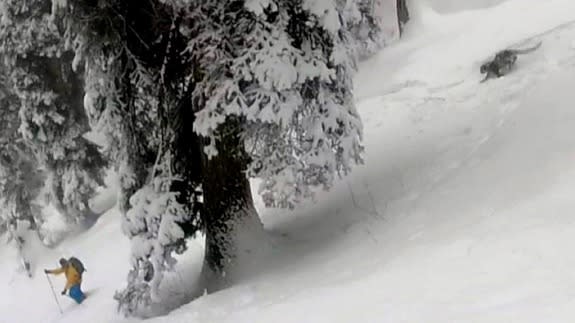 Snow-leopard-kashmir