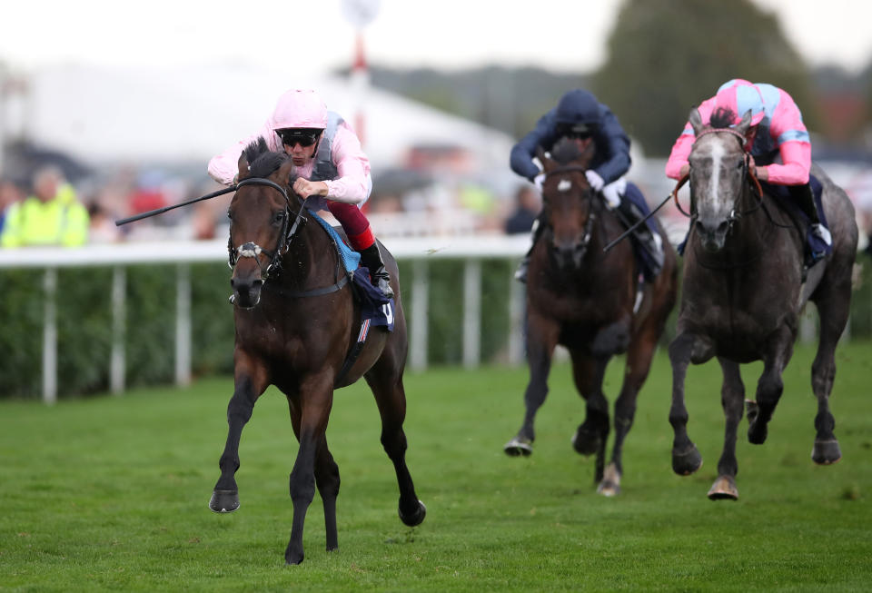 Too Darn Hot is a warm favourite for a scintillating renewal of the Darley Dewhurst Stakes