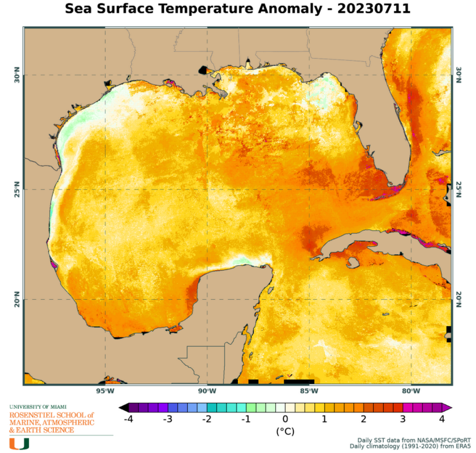 Projections from the University of Miami show how much higher current sea temperature numbers are when compared to previous years. The Atlantic Ocean near Florida’s southeastern tip is running three and a half degrees higher than normal in Fahrenheit, with waters in the Florida Keys up to seven degrees above average.