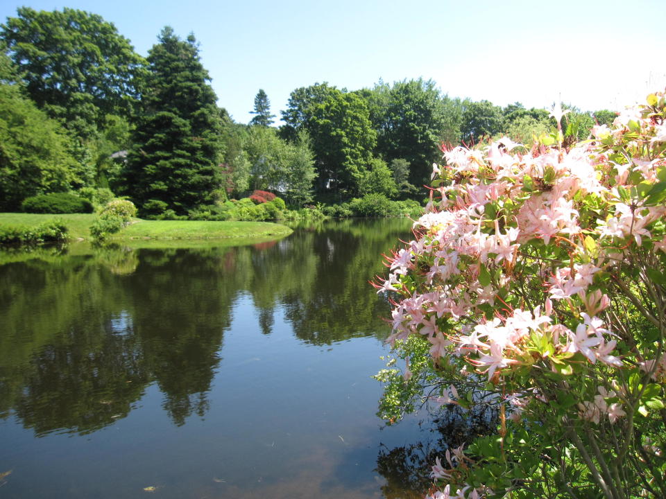 This July 12, 2012 photo shows the pond at the Asticou Azalea Garden in Northeast Harbor, Maine. Asticou includes plants once owned by the renowned landscape designer Beatrix Farrand, who also designed the nearby Abby Aldrich Rockefeller garden, a private garden open to the public just a few days a year. (AP Photo/Beth J. Harpaz)