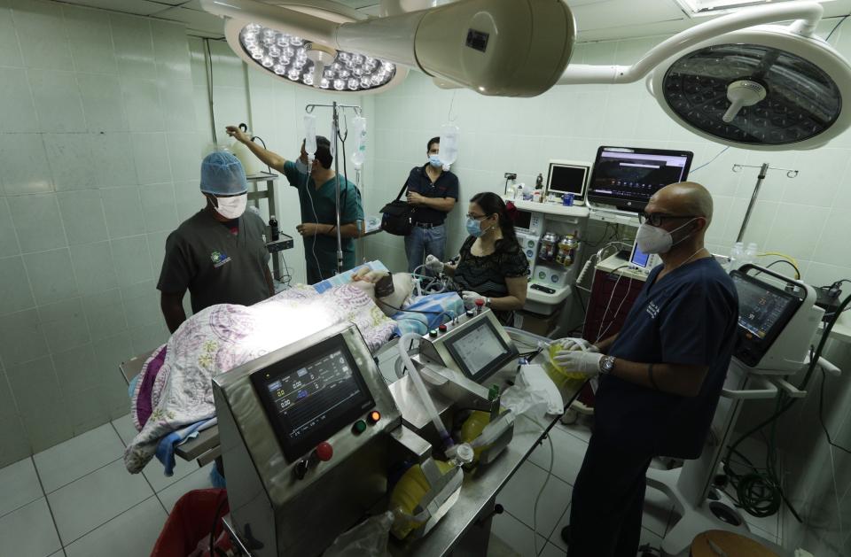 Un cerdo está conectado a un prototipo de ventilador mecánico mientras doctores, ingenieros y veterinarios de la escuela veterinaria de la Universidad Nacional de Panamá prueban los dispositivos en Panamá el jueves 17 de septiembre de 2020. (AP Foto/Arnulfo Franco)