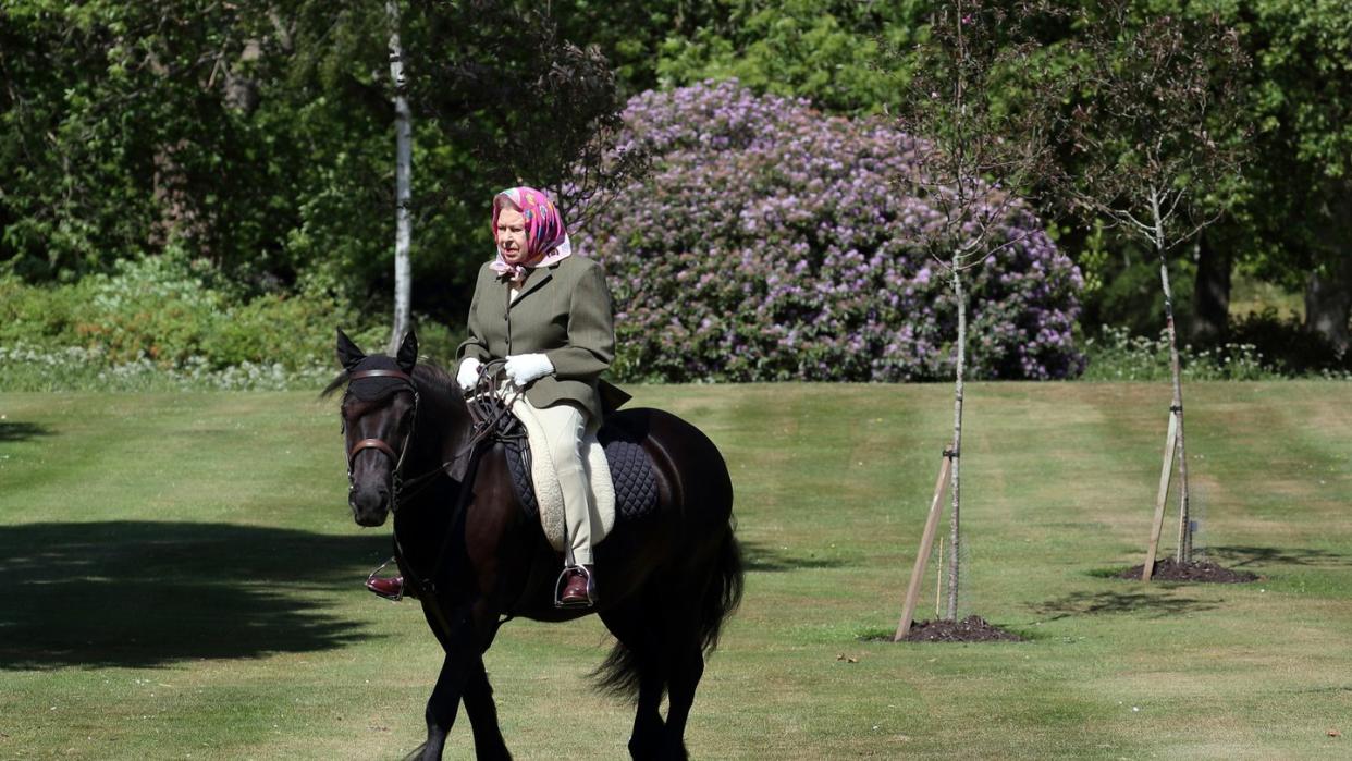 Königin Elizabeth II. reitet auf Fell-Pony Balmoral Fern.