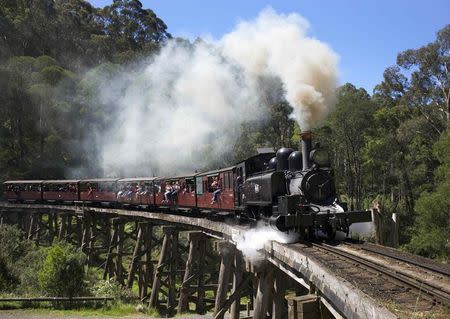 A Puffing Billy steam train hauled by locomotive 14A crosses the Monbulk Creek trestle after leaving Belgrave station near Melbourne, October 20, 2014. REUTERS/Jason Reed