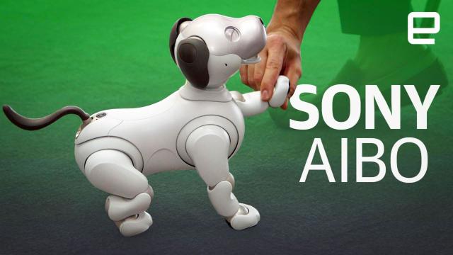 Sony's robot dog Aibo is headed to the US for a cool $2,899 - The