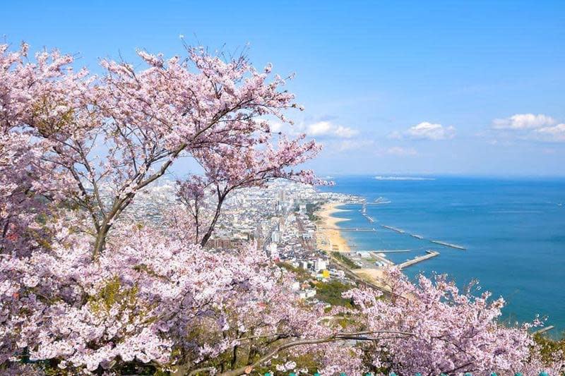 &#x00300c;&#x009808;&#x0078e8;&#x006d66;&#x005c71;&#x004e0a;&#x00904a;&#x006a02;&#x005712;&#x00300d;&#x0053ef;&#x006b23;&#x008cde;&#x006afb;&#x0082b1;&#x008207;&#x007028;&#x006236;&#x005167;&#x006d77;&#x004ea4;&#x007e54;&#x007f8e;&#x00666f;&#x003002;&#x00ff08;&#x00795e;&#x006236;&#x0089c0;&#x005149;&#x005c40;&#x0063d0;&#x004f9b;&#x00ff09;