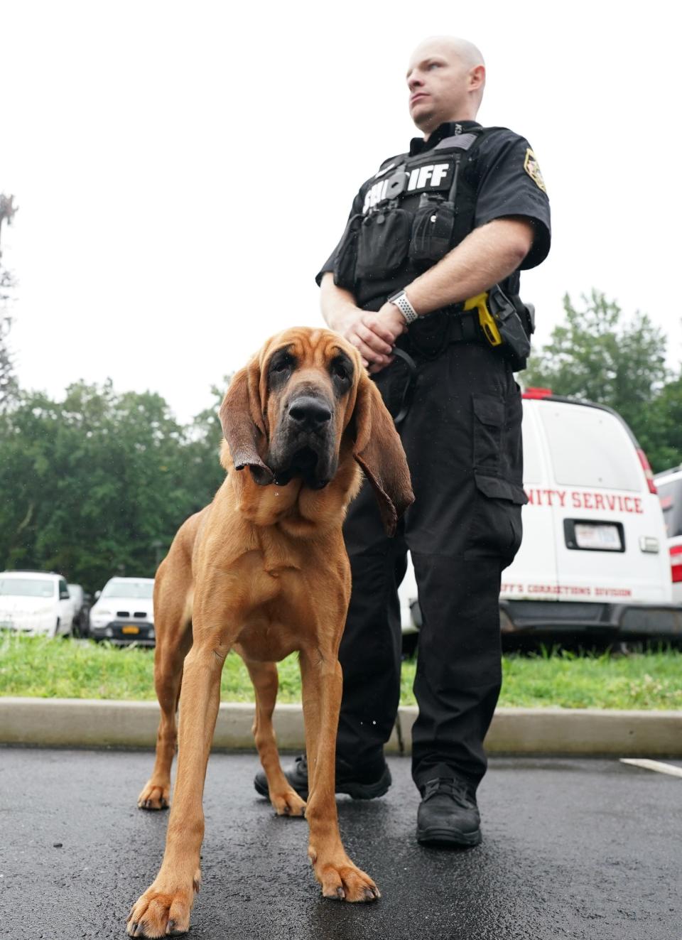 Rockland County Deputy Sheriff Brian Neary with K-9 Galli photographed at the Rockland County Sheriff's office in New City on Tuesday, August 15, 2023.