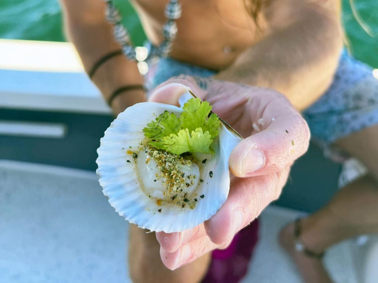 a fresh scallop with cilantro leaves and seasoning in a white man's hand