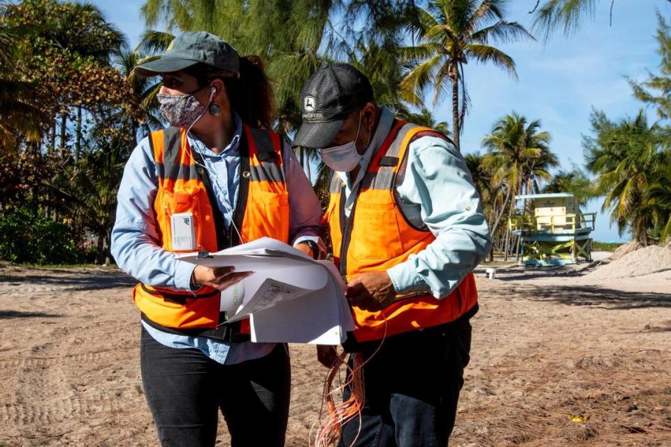 Arazoza Brothers commercial landscaping employees survey the area for trees to remove in North Beach Oceanside Park, just past 79th Street. The area is slated to become a part of the final segment of Miami Beach’s seven-mile pedestrian beachwalk, which spans the entire length of the city, and is scheduled to break ground in the coming months in North Beach. The $4.5 million project will extend the paved walking and cycling path from 79th Street to the edge of city limits at 87th Terrace, east of the North Beach Oceanside Park and Collins Avenue.