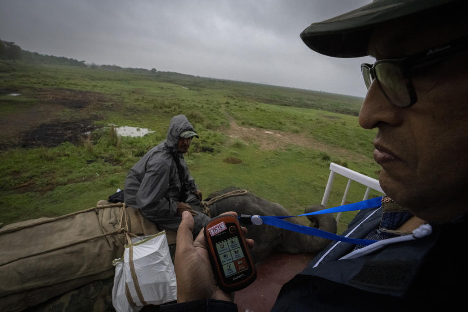 An enumerator checks his GPS before leaving for a rhino census count exercise at Kaziranga national park, in the northeastern state of Assam, India, Saturday, March 26, 2022. Nearly 400 men using 50 domesticated elephants and drones scanned the park’s 500 square kilometers (190 square miles) territory in March and found the rhinos' numbers increased more than 12%, neutralizing a severe threat to the animals from poaching gangs and monsoon flooding. (AP Photo/Anupam Nath)