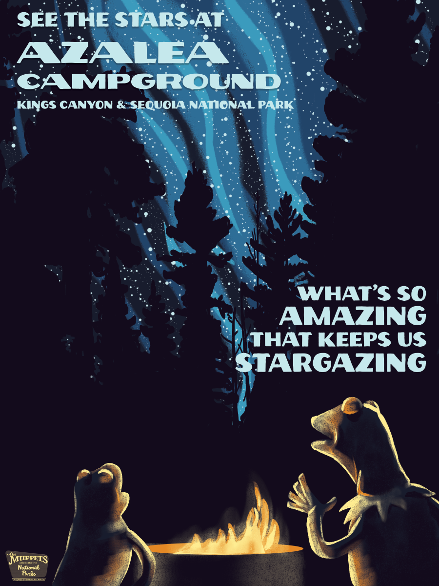 A national park poster with Kermit and Robin sitting by a campfire looking at the stars