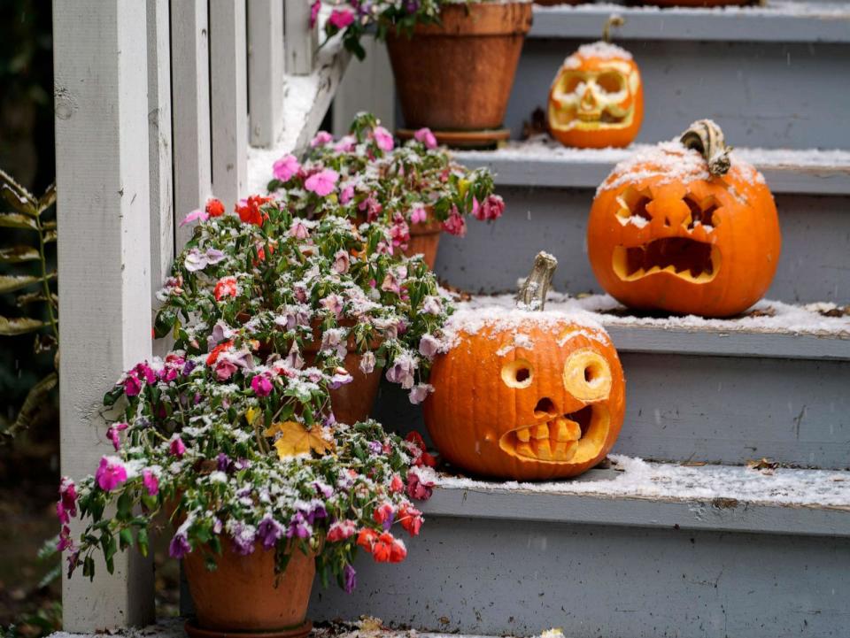 PHOTO: Jack o'lanterns are dusted with snow, Oct. 31, 2023, in Chicago. (Kiichiro Sato/AP)