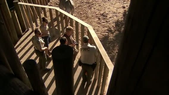 Officials at the zoo inspect the rhino pen after the incident (AP)