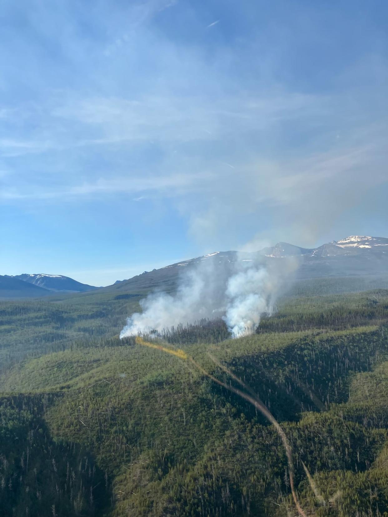 Crews from B.C. Wildfire and Yukon Wildfire are responding to the Hook Creek wildfire near the B.C.-Yukon border. The B.C. Wildfire Service says it is burning toward the northeast in the footprint of a 2004 fire and is highly visible from the Alaska Highway. (B.C. Wildfire Service - image credit)