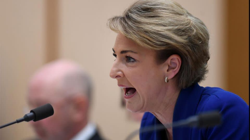 Michaelia Cash has admitted a staff member told media about police raids on the offices of the AWU. Source: AAP