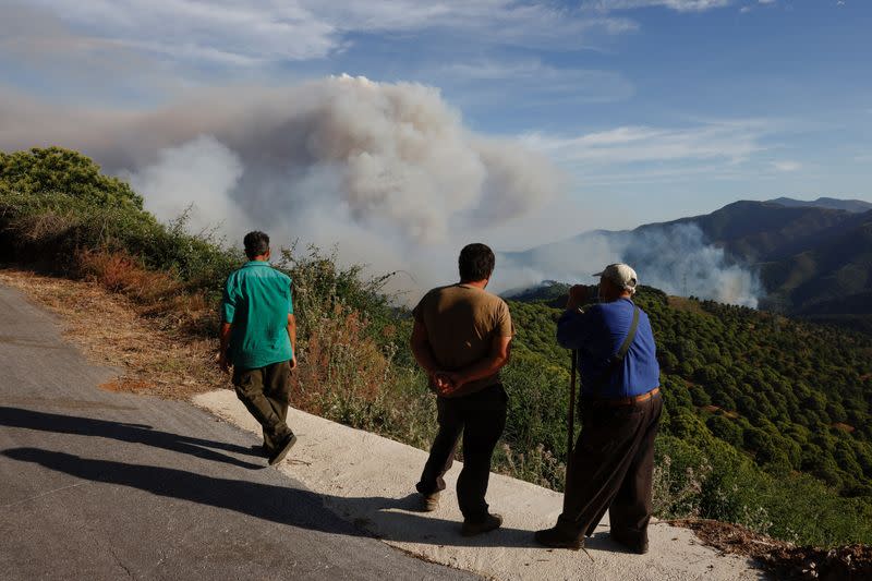 Forest fire breaks out in Pujerra, near Malaga