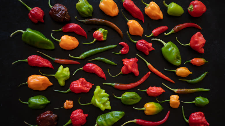 Assorted chili peppers