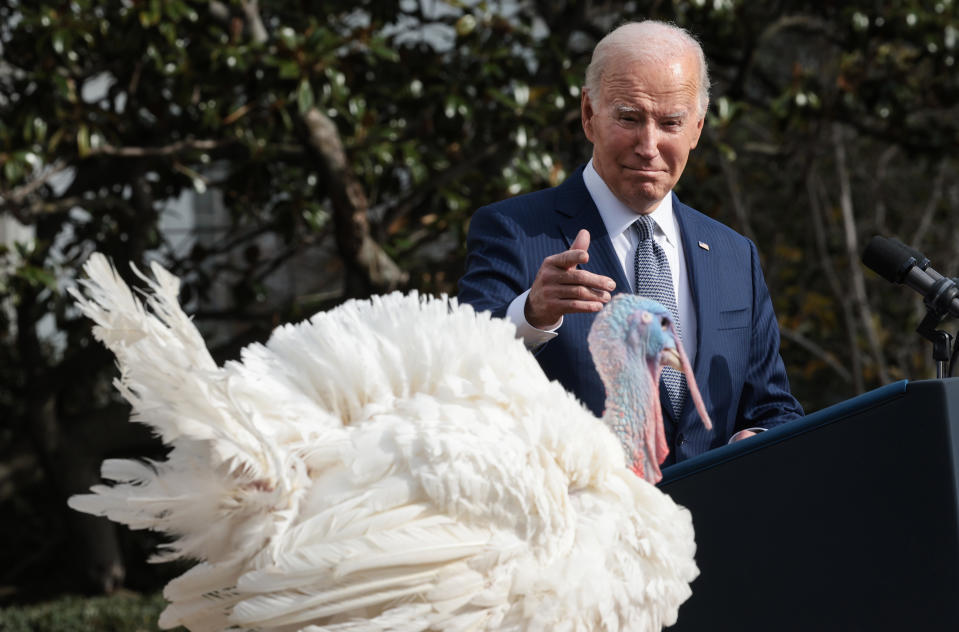 President Joe Biden pardons the National Thanksgiving turkey Liberty during a ceremony on the South Lawn of the White House on November 20, 2023 in Washington, DC. The 2023 National Thanksgiving Turkey and its alternate Bell, were raised in Willmar, Minnesota and will be housed at the University of Minnesota after their pardoning. (Win McNamee/Getty Images)
