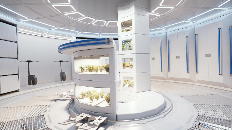 The Airbus Loop space station will have an indoor greenhouse.