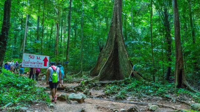 Shooting and ATV Experience in Krabi - Klook India