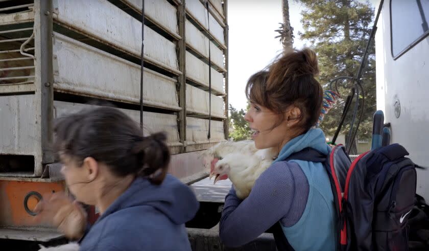 'Baywatch' star Alexandra Paul, right, to go on trail for taking chickens from Foster Farms truck, shown here on a screenshot from a video provided by Direct Action Everywhere.