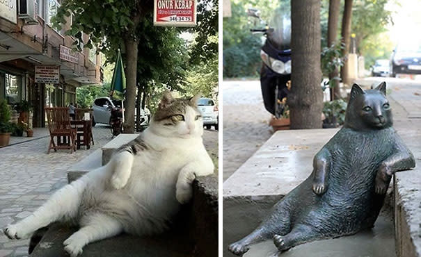 ¿Recuerdas a este gato? Se hizo famoso hace tiempo en las redes por su peculiar posición para descansar. Ahora que el felino falleció, su dueño decidió inmortalizarlo con esta escultura.