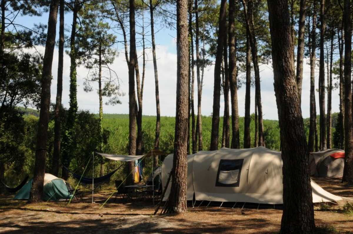 Stay among the pines at Ciela Vilage Eurosol (Eurosol Camping)
