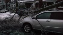 A fallen tree rests on a minivan in Toronto. Ice and snow have affected power and transportation across a large swath of the country.