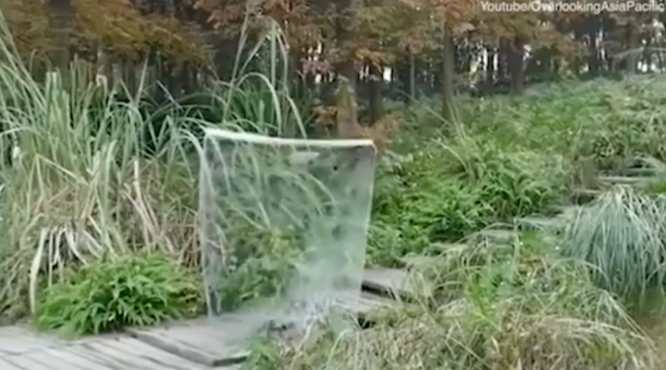 The man magically disappears once behind the sheet. Photo: Youtube