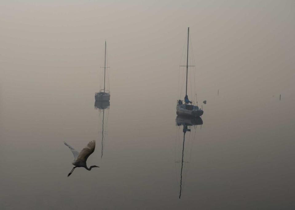 Clear Lake from the shores of Lakeport is covered with smoke from the River Fire in 2018. Researchers at UC Davis say as wildfire activity has grown, the state’s pristine bodies of water have been affected by smoke.