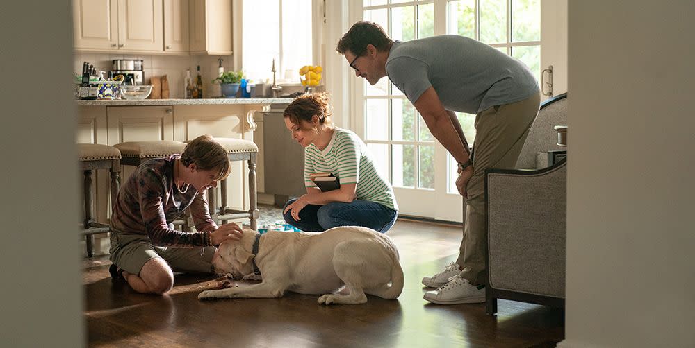 netflix's dog gone gets same reaction from fans