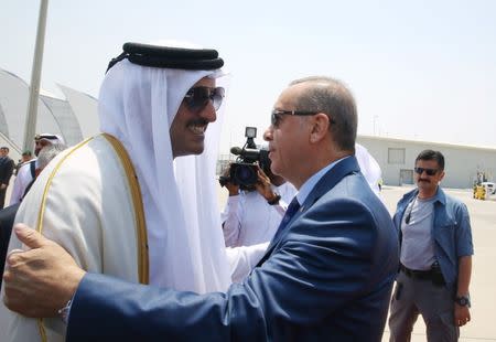 Turkish President Tayyip Erdogan is welcomed by Emir of Qatar Sheikh Tamim Bin Hamad Al-Thani in Doha, Qatar, July 24, 2017. Kayhan Ozer/Presidential Palace (Turkey)/Handout via REUTERS ATTENTION EDITORS - THIS IMAGE HAS BEEN SUPPLIED BY A THIRD PARTY. NO RESALES. NO ARCHIVES