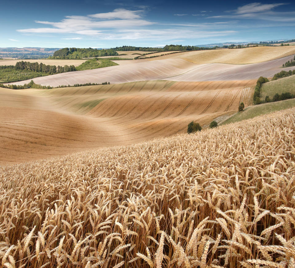 Landscape Photographer of the Year 2022 unseen images