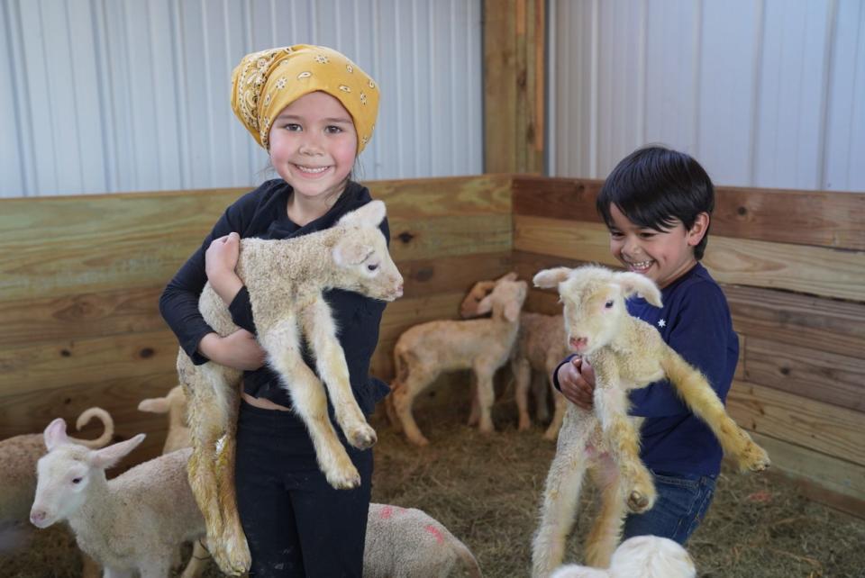 Evelyn and Reginald Ambas play with lambs at Eckerman Sheep Co. in Antigo. They are grandchildren of the owners, and their parents run Manila Resto in Oshkosh