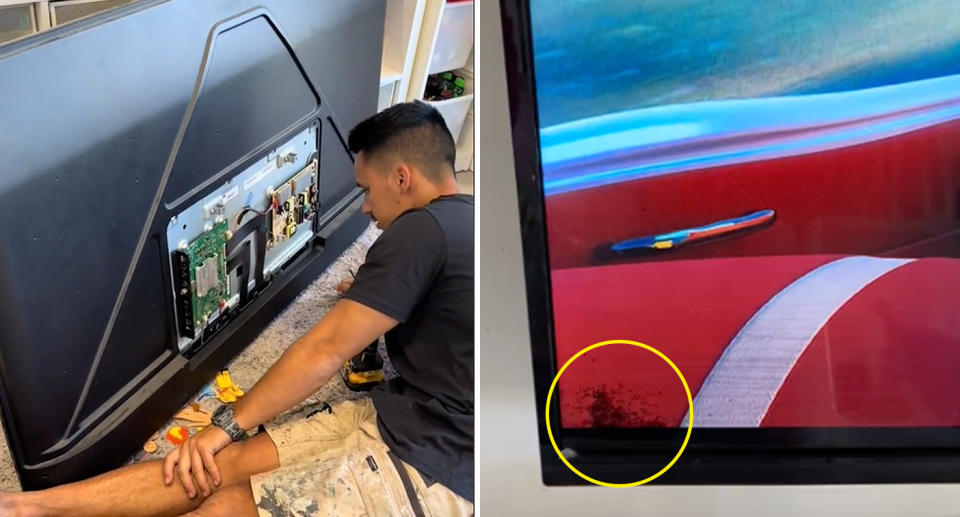 A man sitting behind the back of a television (left) with a close up of the ants inside the television (right). 