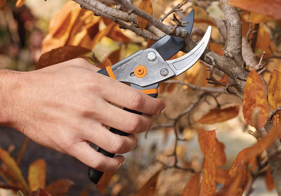 Fiskars Steel Bypass Pruning Shears (Photo: Amazon)