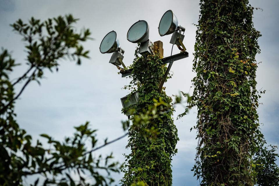 The Reflection Bay subdivision is vacant commercial land adjacent to Century Village west of Haverhill Road in unincorporated Palm Beach County, Fla. It was once home to Turtle Bay Golf Course. Since the course closure more than a decade ago, nature has reclaimed the land with vegetation growing wild on the property. The Palm Beach Post photographed these driving-range lights on Tuesday, June 29, 2021.