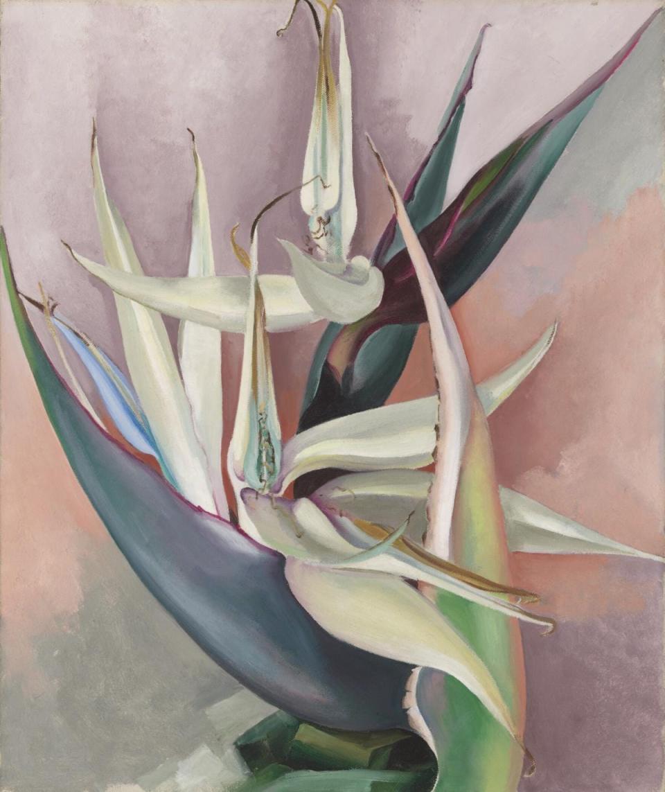 Georgia O'Keeffe's 1939 oil on canvas painting "White Bird of Paradise" is on view through July 7 in the exhibit "Magnificent Beauty: Georgia O’Keeffe and the Art of the Flower" at the Oklahoma City Museum of Art.