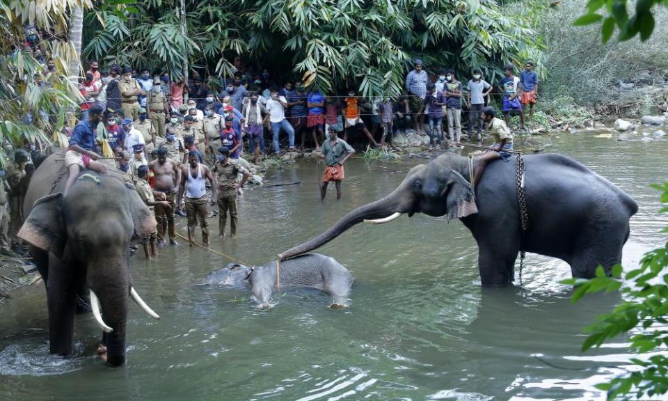 <span>Photograph: Rajesh U Krishna/AP</span>