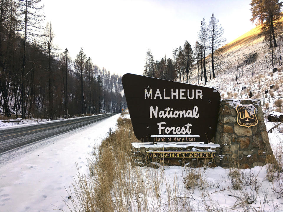 FILE - This Dec. 7, 2016 photo, shows the entrance to the Malheur National Forest near John Day, Ore. Rick Snodgrass, the U.S. Forest Service “burn boss,” was arrested Wednesday, Oct. 19, 2022, by a county sheriff after a planned burn at Malheur National Forest spread onto private land. He was conditionally released. Prescribed burns are set intentionally and under carefully controlled conditions to clear underbrush, pine needle beds and other surface fuels that make forests more prone to wildfires. (AP Photo/Andrew Selsky, File)